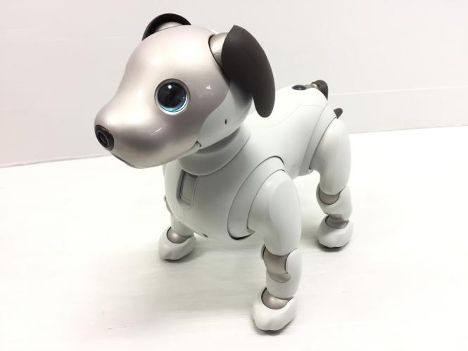 購入後についてSONY aibo 本体　超美品